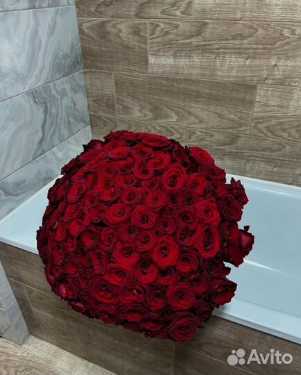 101 роза/ розы с доставкой