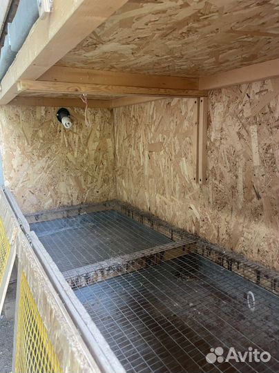 Брудер двухярусный для цыплят, индюшат, птицы б/у