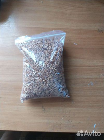 Аквариум для красноухой черепахи