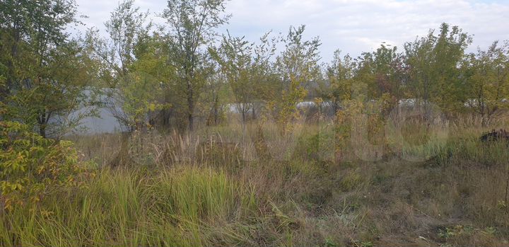 Участок 36 сот. (ИЖС)