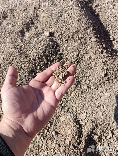 Отсев дробления