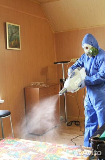 Средство для Уничтожения клопов тараканов плесени клещей