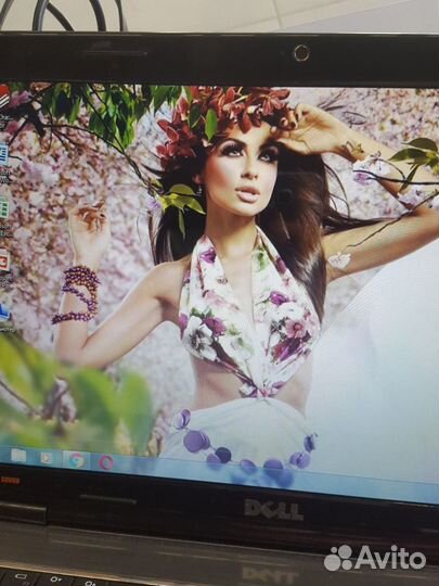 Шустрый ноутбук Dell M5050 для учебы и игр