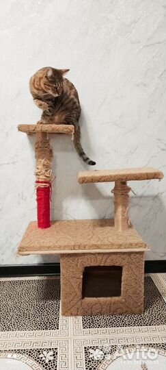 Стойка для кошки с домиком