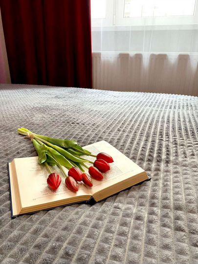 Квартира-студия, 24 м², 1/24 эт.