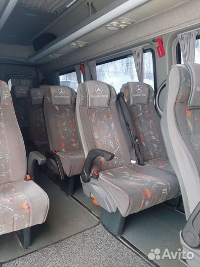 Автобус на заказ