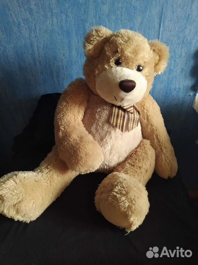 Коллекция мягких медведей