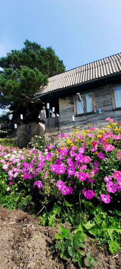 Дача 36 м² на участке 8 сот.