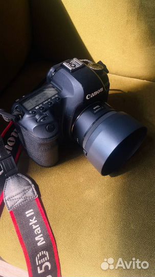 Canon 5D mark ii