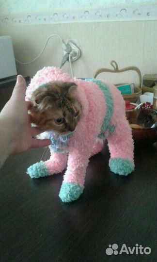 Комбинезон вязаный для кошки