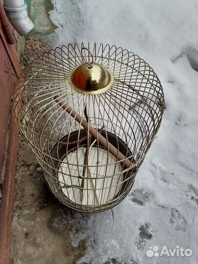 Клетка для крупного попугая