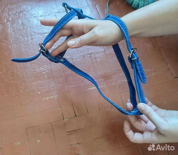 Одежда для собак