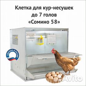 Поилка для цыплят