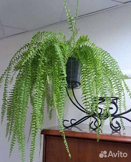 Подставка для цветов металлическая горизонтальная