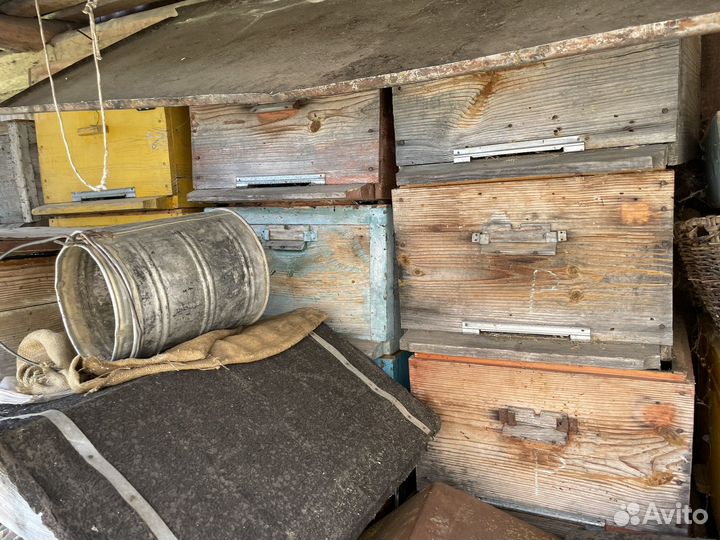 Улья для пчёл