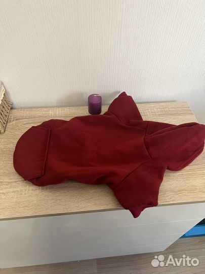 Вещи для собаки