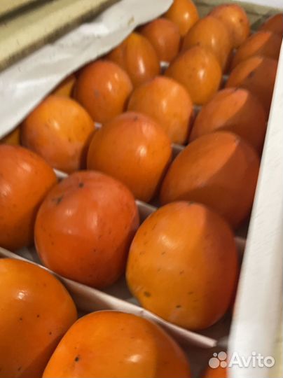 Фрукты и овощи оптом