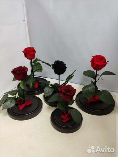 Роза в колбе оптом