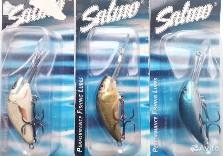 Salmo Hornet 5SDR - D/GSM/SBH