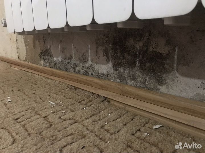 Средство от плесени