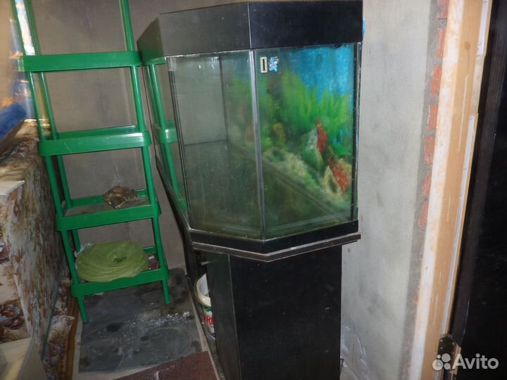 Аквариумы 200