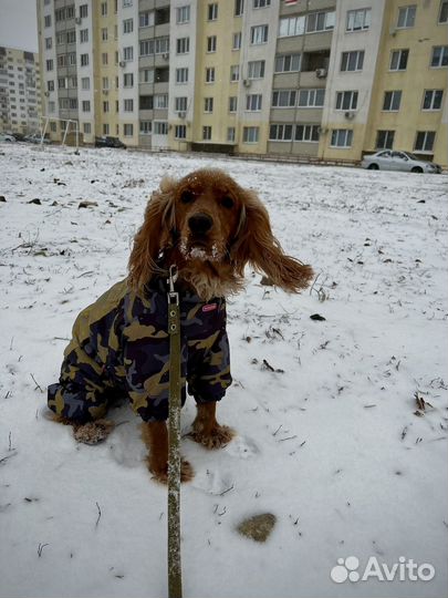 Теплый комбинезон для собак