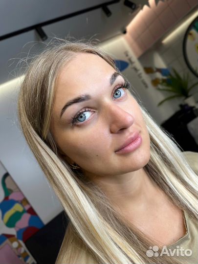 Мастер бровист