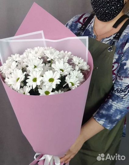 Хризантема