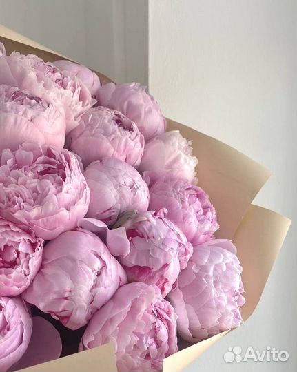Пионы цветы крупные розовые премиум доставка