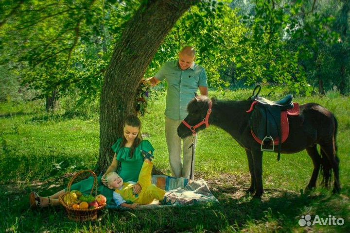 Прокат на лошади