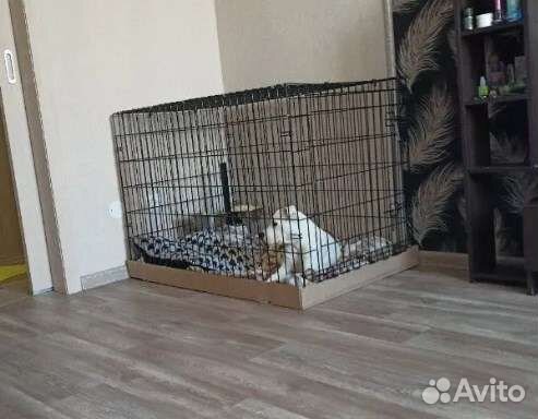 Клетка вольер для собак новая