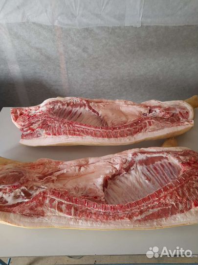 Продам мясо свинины
