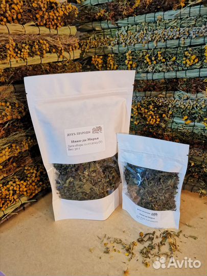 Сухие травы: зверобой, полынь, крапива, пижма