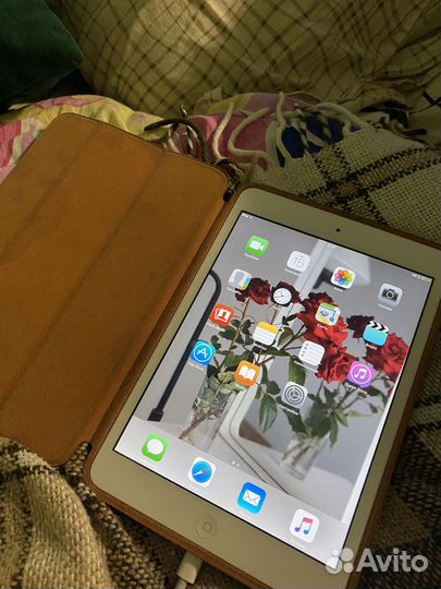 iPad mini