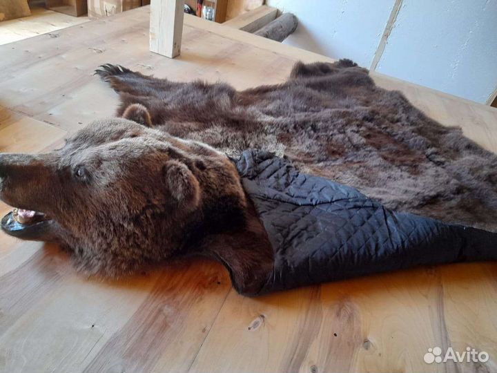 Имитация ковер Медведь