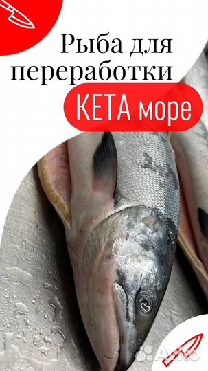 Рыба Кета Переработка