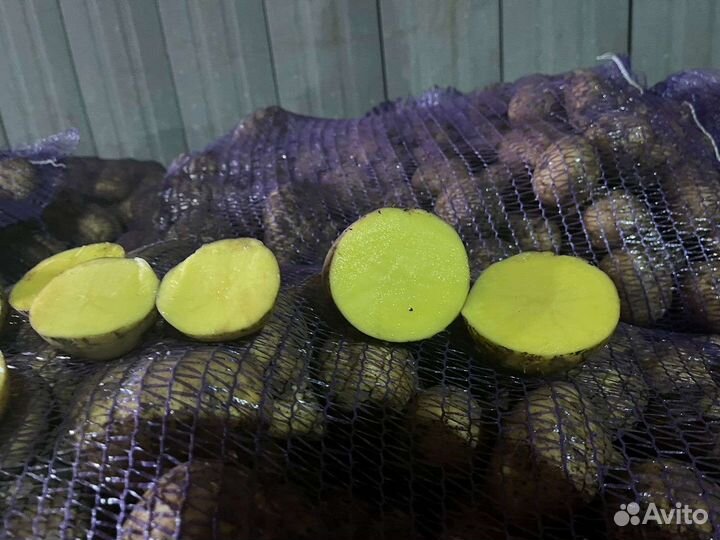 Картофель оптом