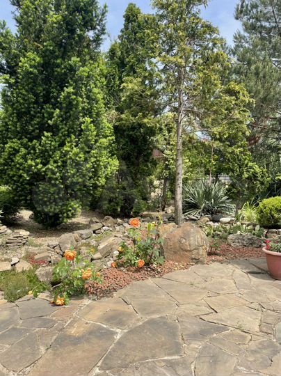 Дом 25 м² на участке 12 сот.