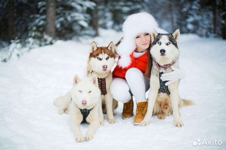 Новогодний тур в Карелию на 3 дня