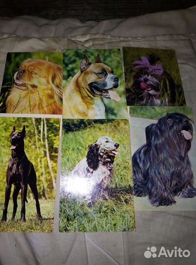 Наборы открыток СССР