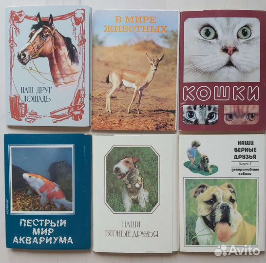 Открытки СССР животные, птицы, рыбы, бабочки, прир