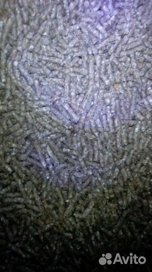 Корм витамин шиншил кролик хомяк крыса коза нутрия