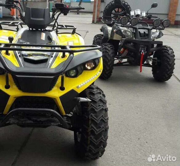 Grizzly ATV 250cc