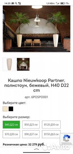 Новые Кашпо Голландия