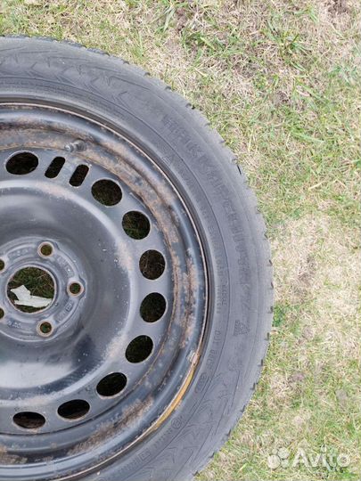 Nokian Tyres Hakkapeliitta 7 205/55 R16