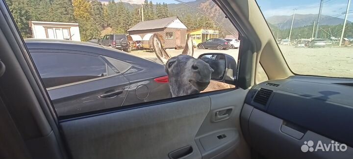 Туры в домбай