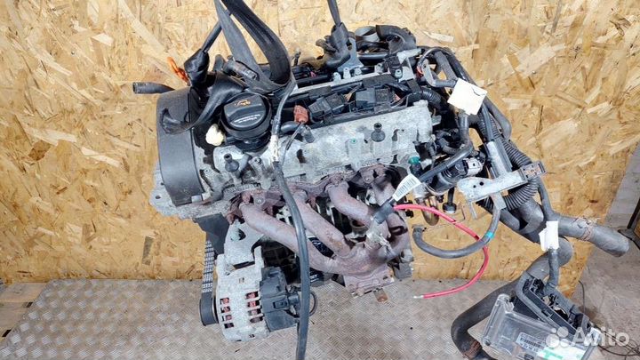 Двигатель Volkswagen Golf 5 (2003 - 2009) 1.4 BCA