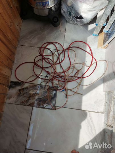 Тюльпаны провода