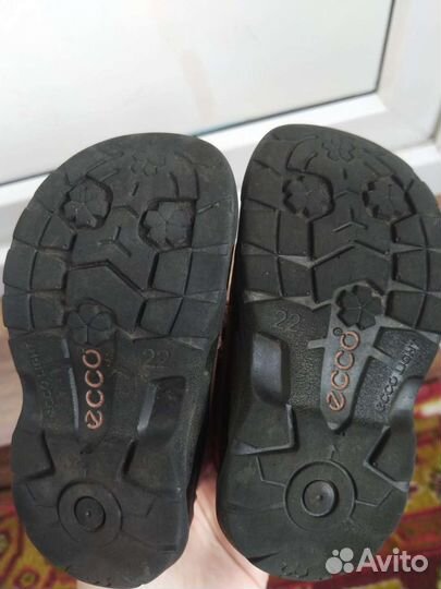 Демисезонные сапоги ecco 22