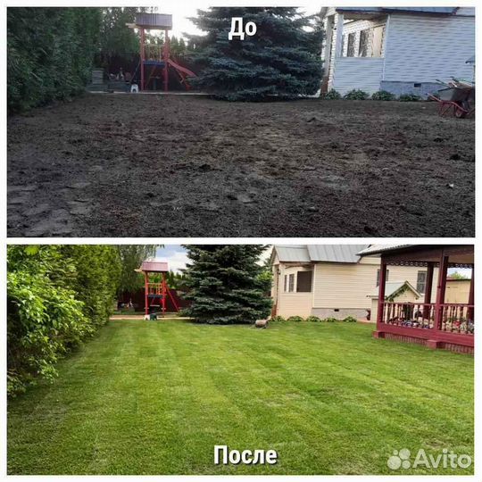 Укладка газона